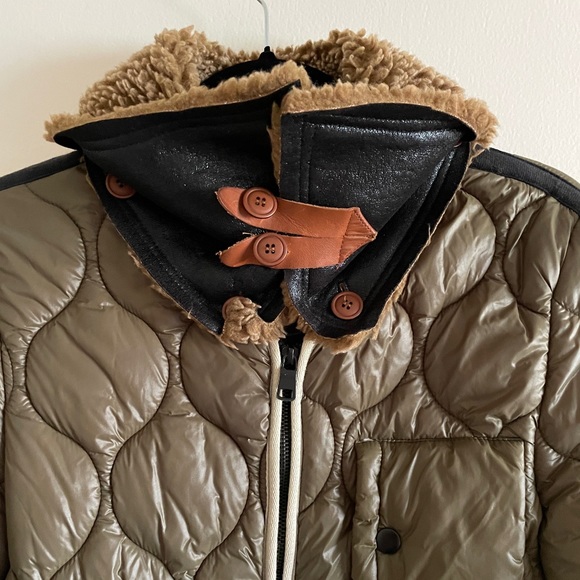 Winter coat bulldog - Picture 7 of 13